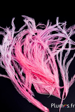 Autruche barbules - 8-15 cm - rose ancien